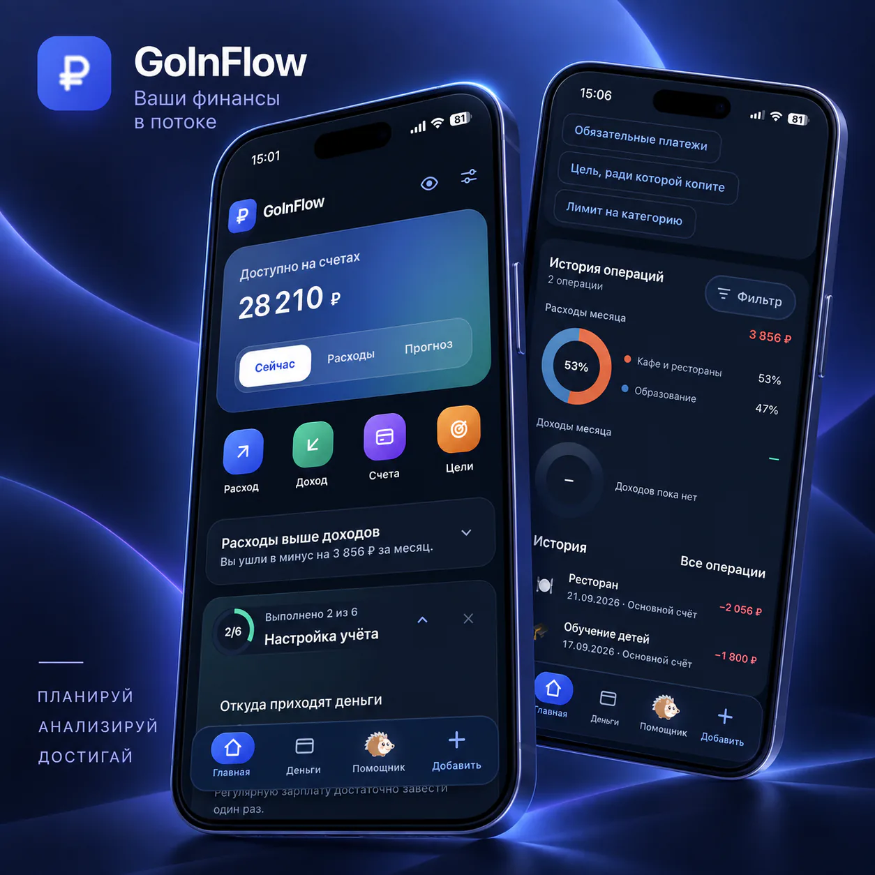 Приложение для учёта личных финансов GoInFlow